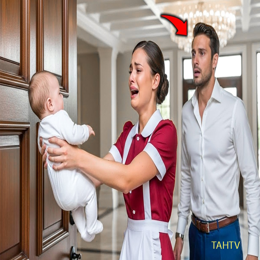 Millonario descubre que su criada dará a su bebé en adopción… lo que hace conmueve a todos