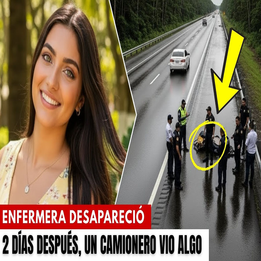 Enfermera desapareció esperando el autobús. 2 días después, un camionero vio algo en la carretera