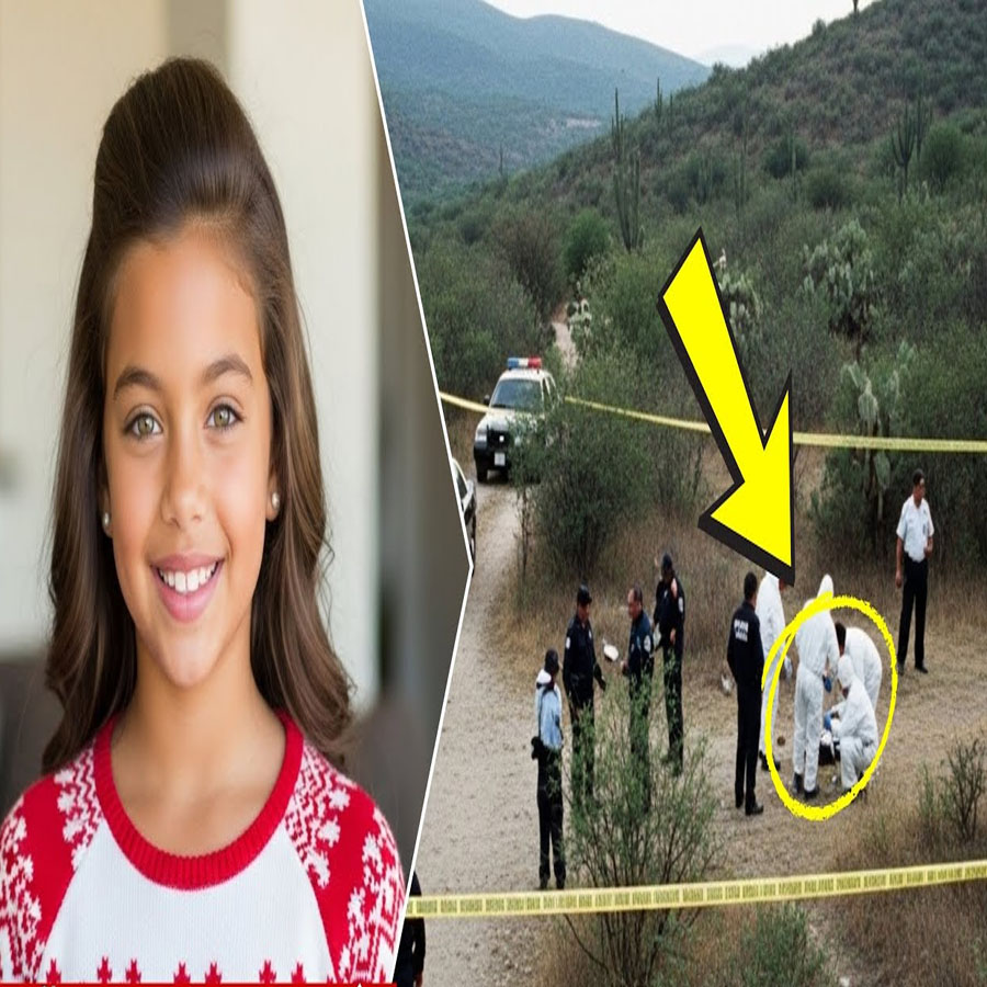 Niña desapareció en 1995 volviendo de la escuela. 7 días después, cazadores encontraron algo