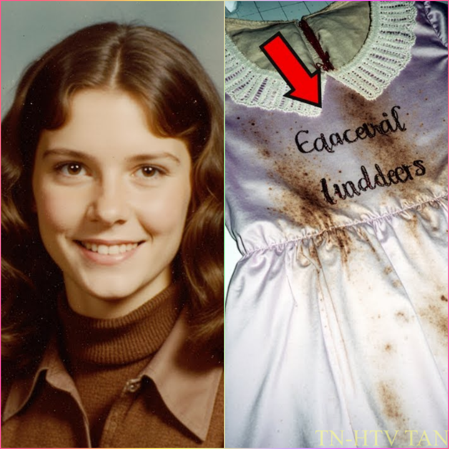 Adolescente desapareció tras su cumpleaños — 30 años después hallan su vestido con mensaje en sangre