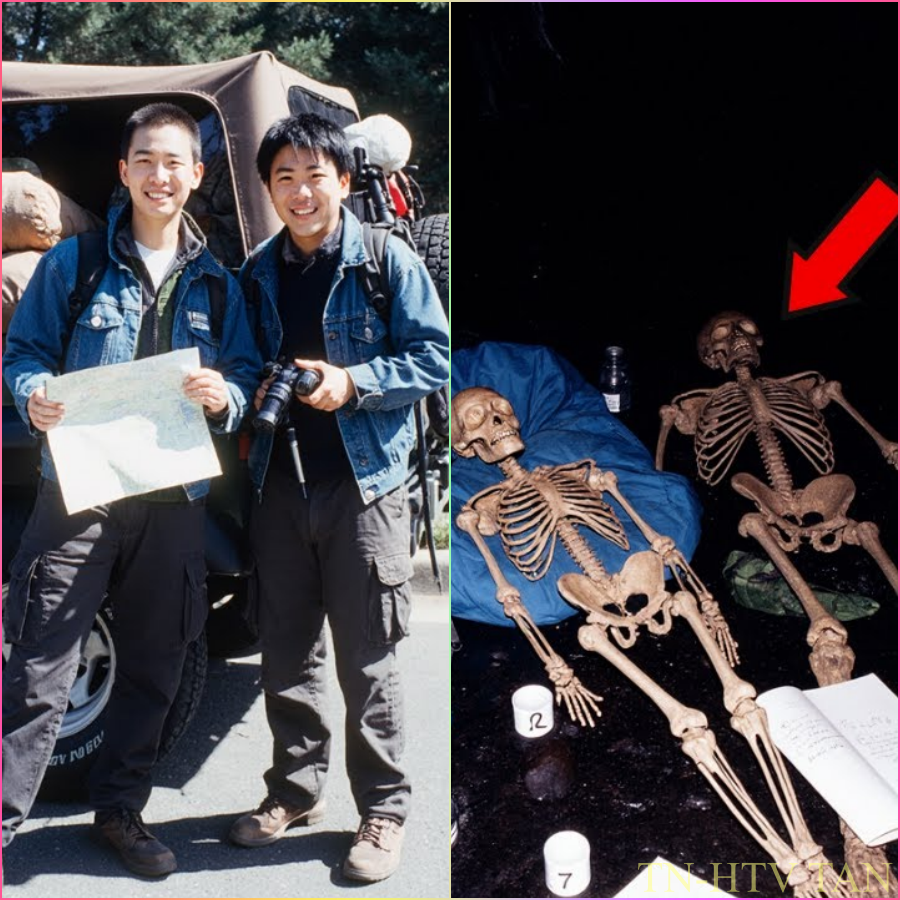 Dos excursionistas desaparecen en Oregón; 6 años después, hallan algo inquietante en una cueva.