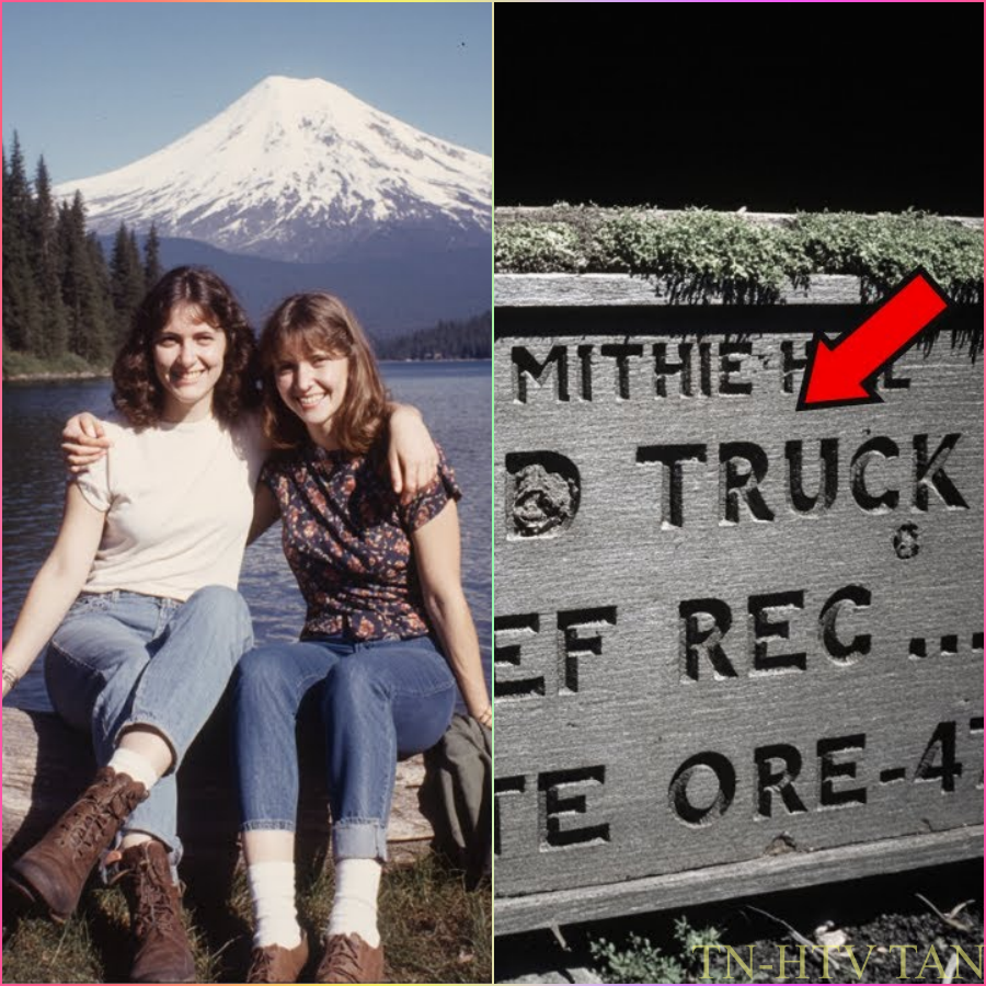 Mujeres desaparecen camino a casa en 1979 — 20 años después hallan mensaje grabado en un árbol  