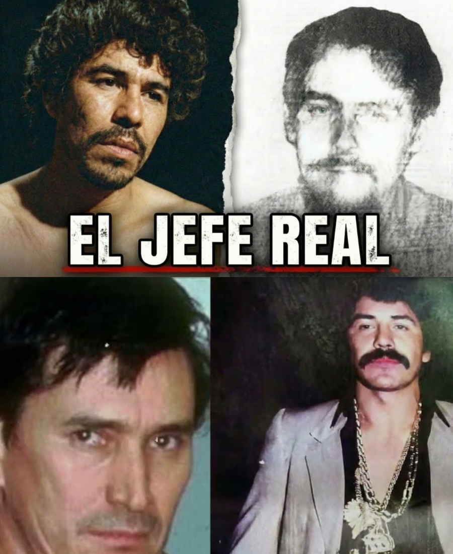 Por Qué Pedro Avilés SECUESTRÓ al Estado Antes que Rafael: El Pecado Original del Narco Mexicano