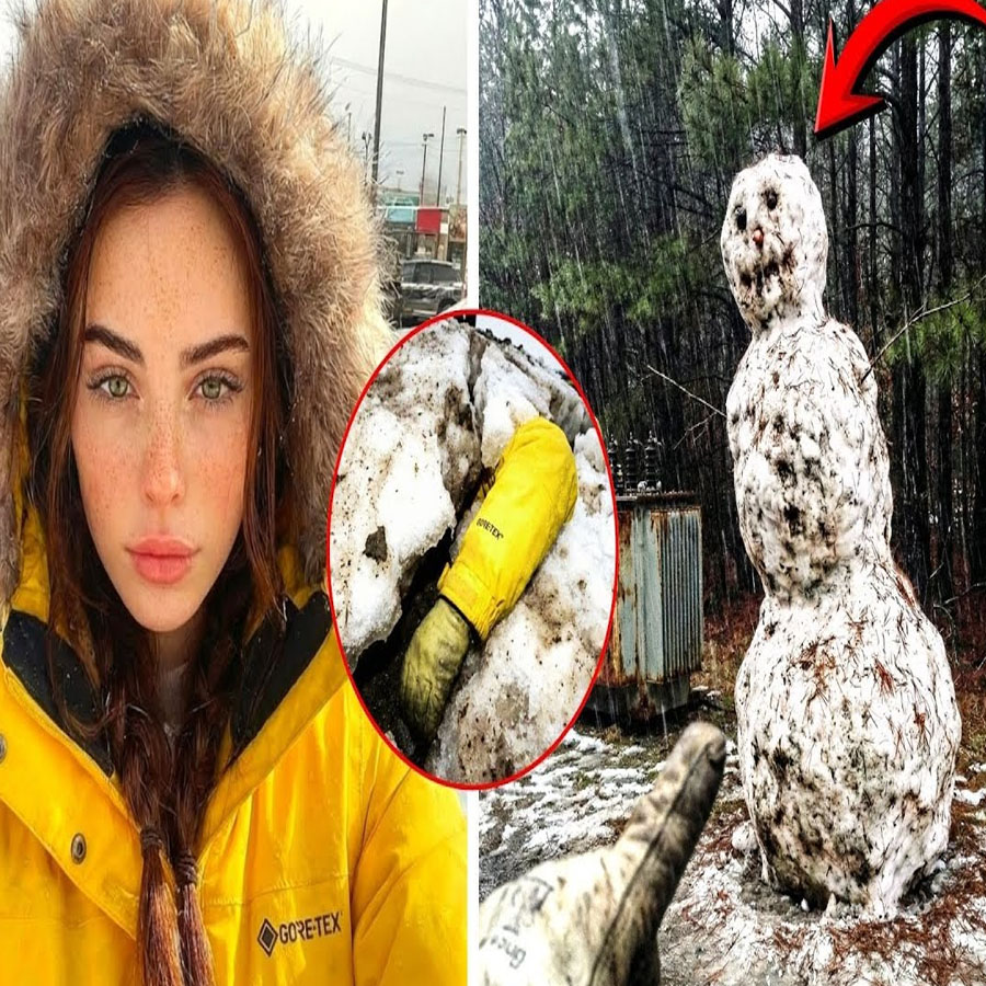 Desaparecida en California: 3 días después, un muñeco de nieve se derrite y revela ESTO…