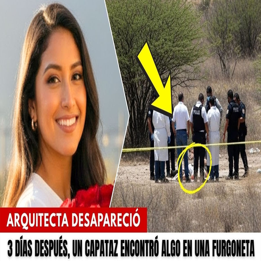 Arquitecta desapareció durante un viaje. 3 días después, un capataz encontró algo en una furgoneta