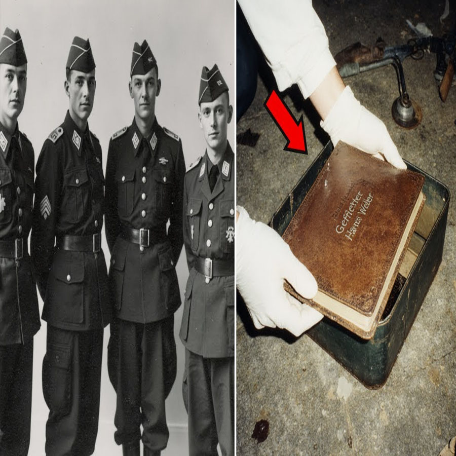 4 soldados alemanes desaparecieron en el Día D — su diario reveló una ruta secreta de escape