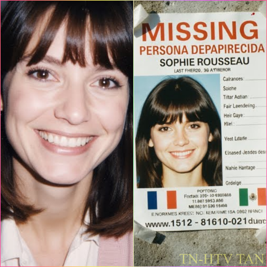 Maestra Francesa DESAPARECIÓ En Cancún — Semanas Después, La Señal Del CELULAR Reveló Todo 