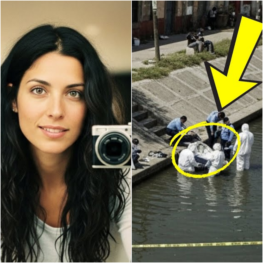 Arquitecta desapareció en 2014 en su apartamento hasta que una limpiadora encontró algo sorprendente