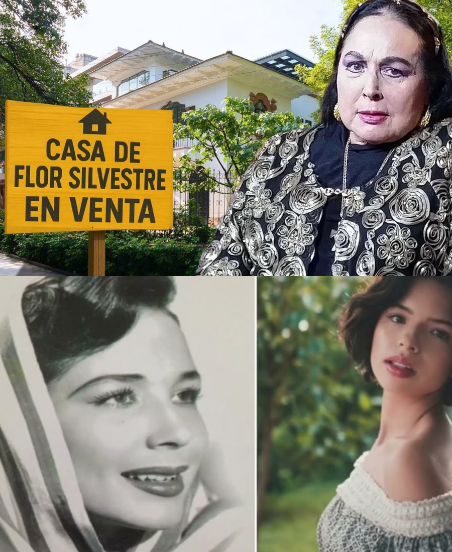 MA- La CASA Abandonada de Flor Silvestre, Donde MURIÓ y su Patrimonio Neto 