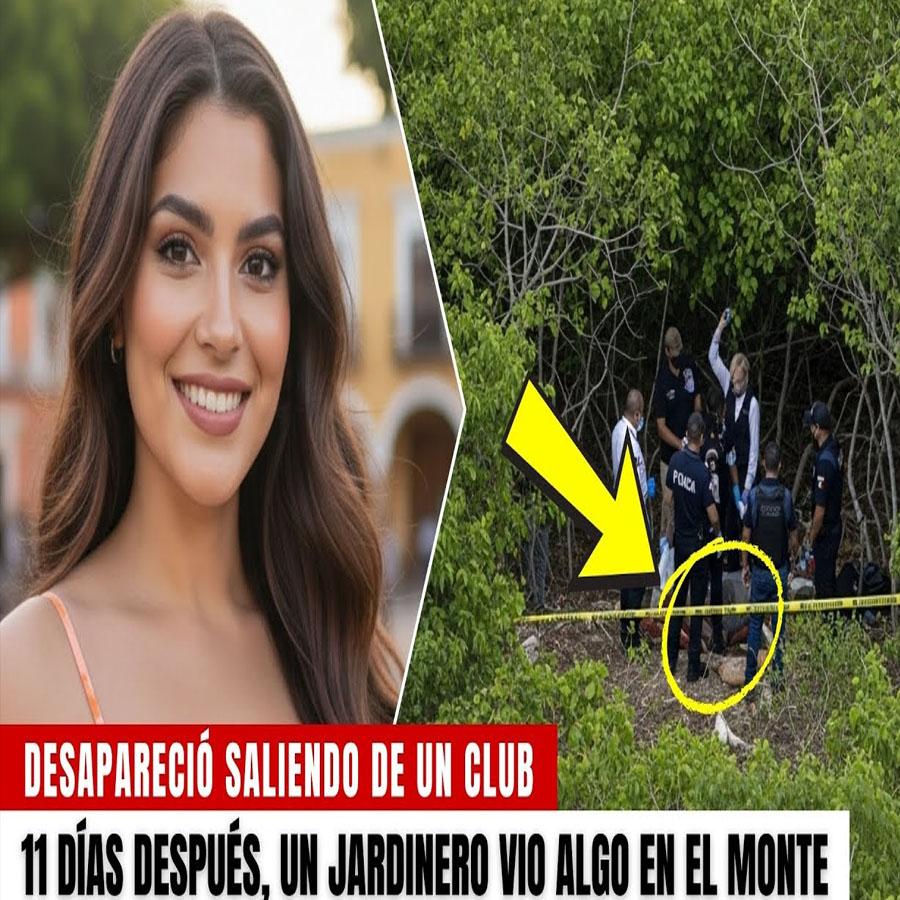 Administradora desapareció saliendo de un club. 11 días después, un jardinero vio algo en el monte