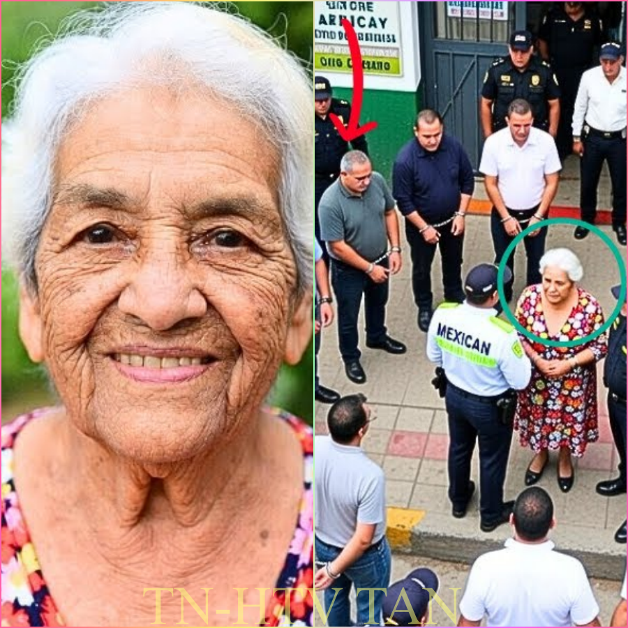 La Abuela de Guadalajara le robaron su casa mientras estaba en el hospital hasta que instaló cámaras