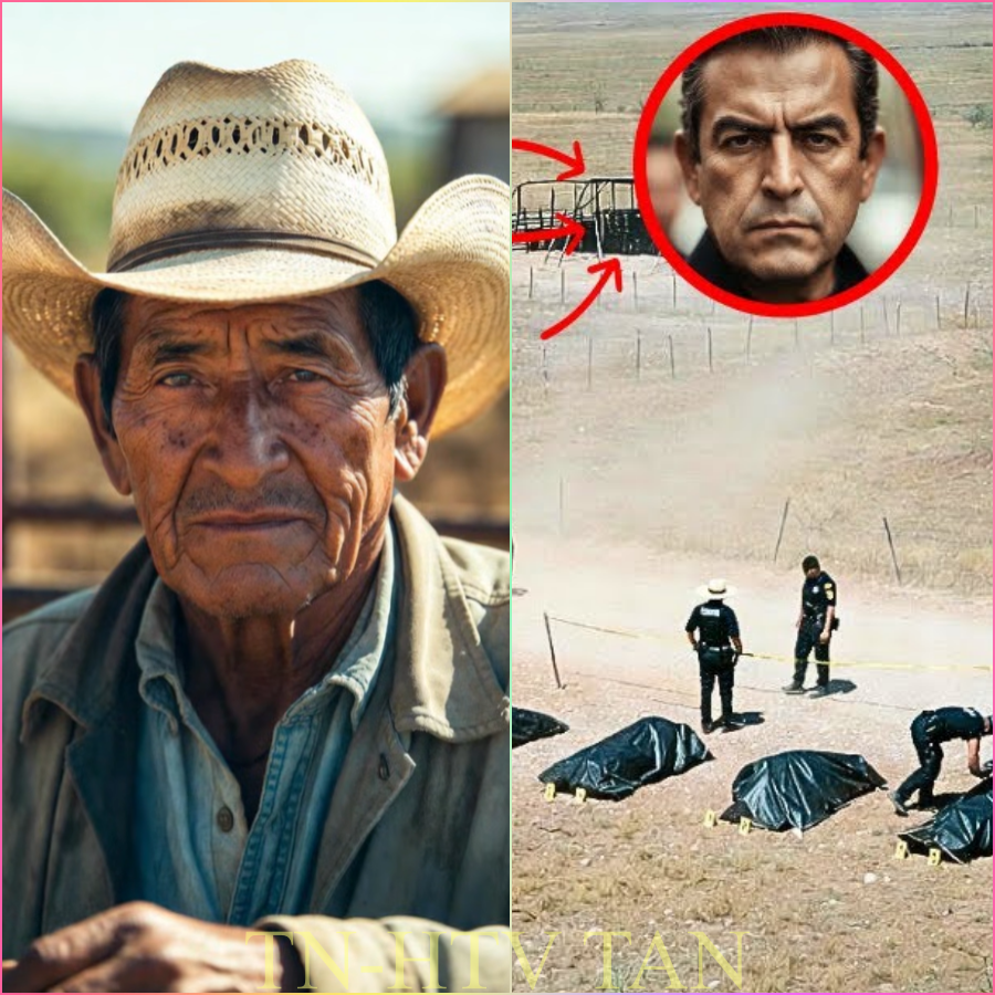 “El Viejo del Rancho”de CoahuilaMonclova Tomás Ledezma a 17 ladrones que robaron su ganado y lo