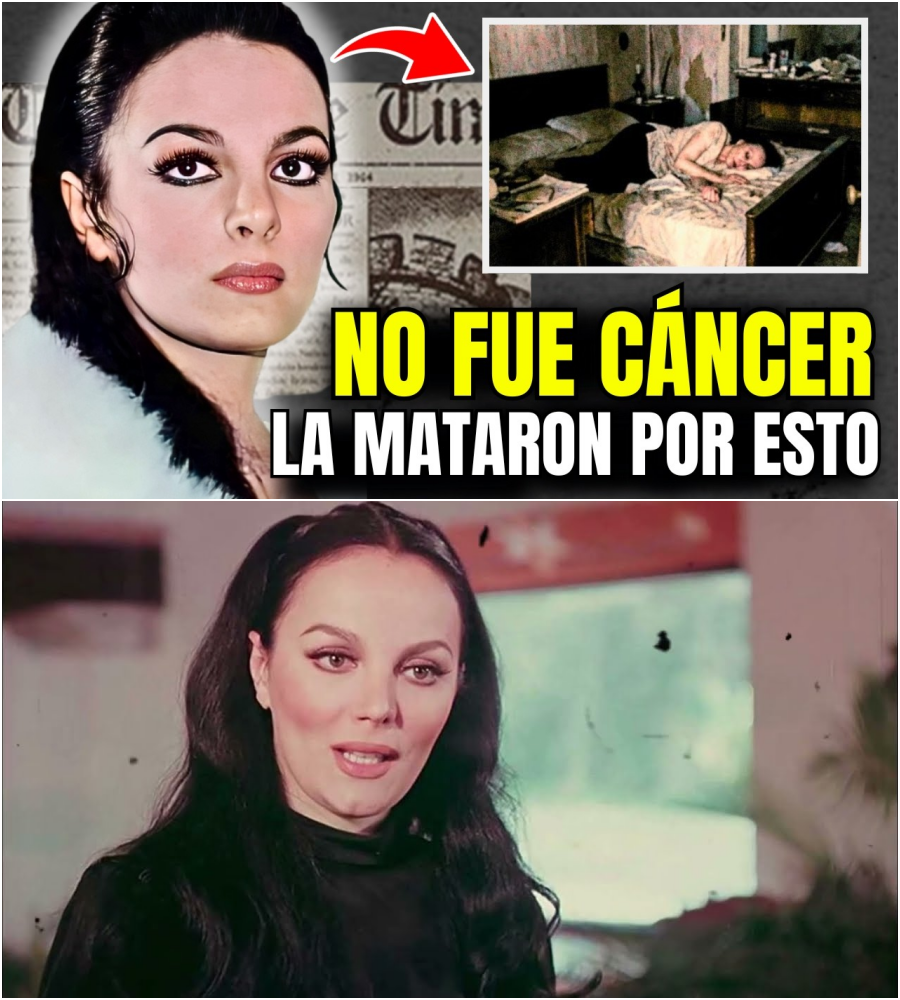 SASHA MONTENEGRO: NO Murió de Cáncer -ESTO FUE Lo Que REALMENTE Pasó…