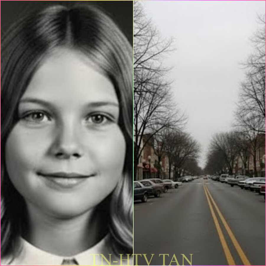 RESUELTO: Caso sin resolver en Illinois | Rachel Stein, 7 años | Niña desaparecida hallada con vida después de 29 años (1978-2007)