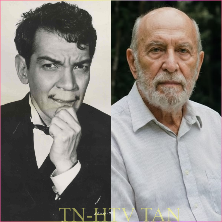 Me llamo Julián Hernández y tengo 85 años. Fui chóer de Mario Moreno, mejor conocido como Cantinflas. Lo que voy a contarte me traumó cuando lo viví, ya que algunas veces las personas no son como las esperamos. Yo no fui actor, ni político, ni periodista. Fui chóer, solo eso. Así me enseñó mi padre. Si quieres respeto, empieza por respetar tu trabajo.