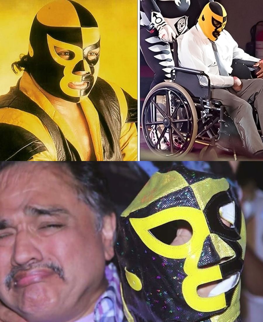 MA – La Vida Y El Triste Final De Pierroth Jr.