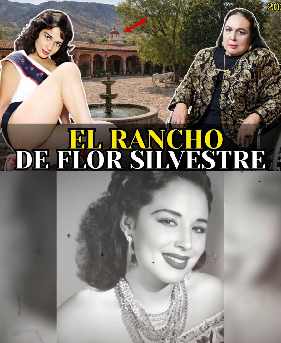 Así fue la vida de Flor Silvestre | Se caso 3 Veces y Los Secretos que rodearon su vida