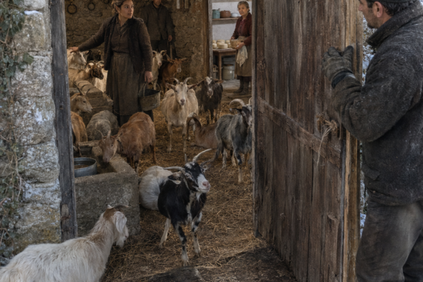 SU FAMILIA LA ECHÓ PORQUE «SIEMPRE QUERÍA SABER MÁS QUE LOS MAYORES»… TRES INVIERNOS DESPUÉS, CUANDO ABRIERON LA PUERTA DE UNA ANTIGUA BODEGA BAJO LA MONTAÑA, ENCONTRARON 17 CABRAS, UNA QUESERÍA Y UNA IDEA QUE NADIE HABÍA TOMADO EN SERIO