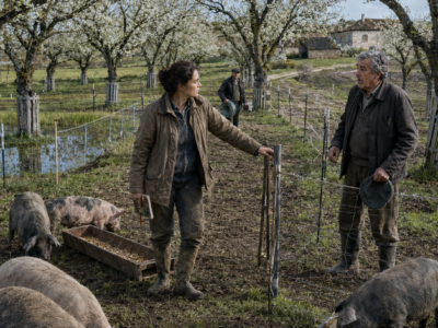 TODOS SE RIERON CUANDO LA VIUDA GASTÓ SUS ÚLTIMOS AHORROS EN 36 CERDOS PEQUEÑOS QUE NADIE QUERÍA… PERO CUANDO EL VIEJO PERAL FLORECIÓ DE BLANCO DOS PRIMAVERAS DESPUÉS, ENTENDIERON QUE ELLA NUNCA LOS HABÍA COMPRADO PARA ENGORDARLOS